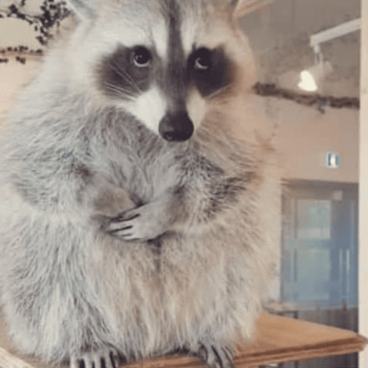 화면 캡처 2025-11-05 183355.png