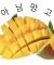 테스트